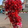 Kệ Hoa Khai Trương 14