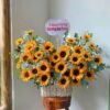 Lẵng Hoa Ánh Dương Tỏa Sáng - BBLH16